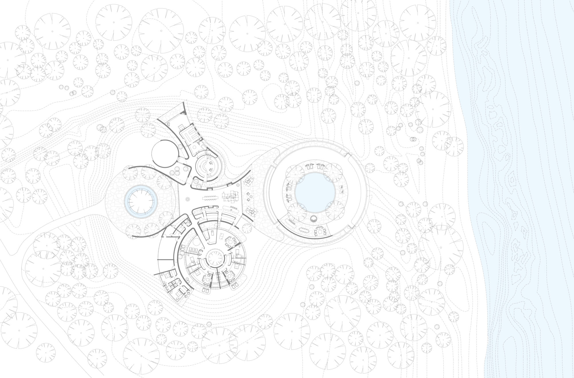 Plan Website