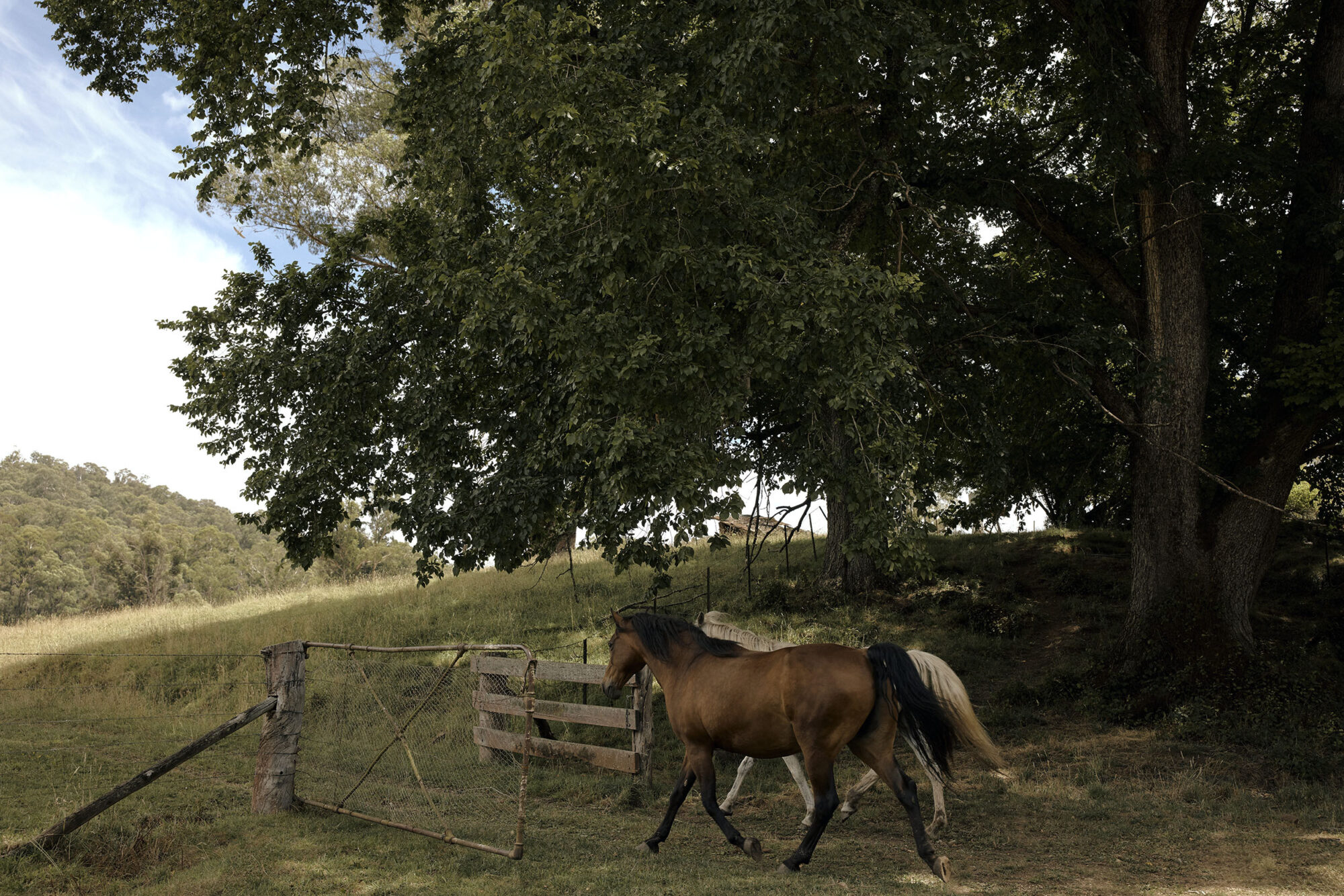 RMA Howqua Lifestyle 220125 134