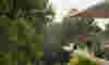 Sggedge
