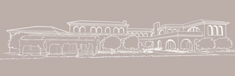 Miami Sketch w Background