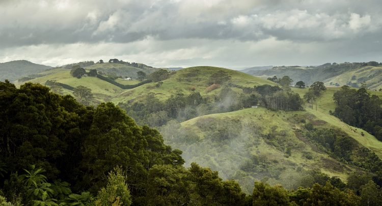 Up Country Country | Experience | Rob Mills Architects