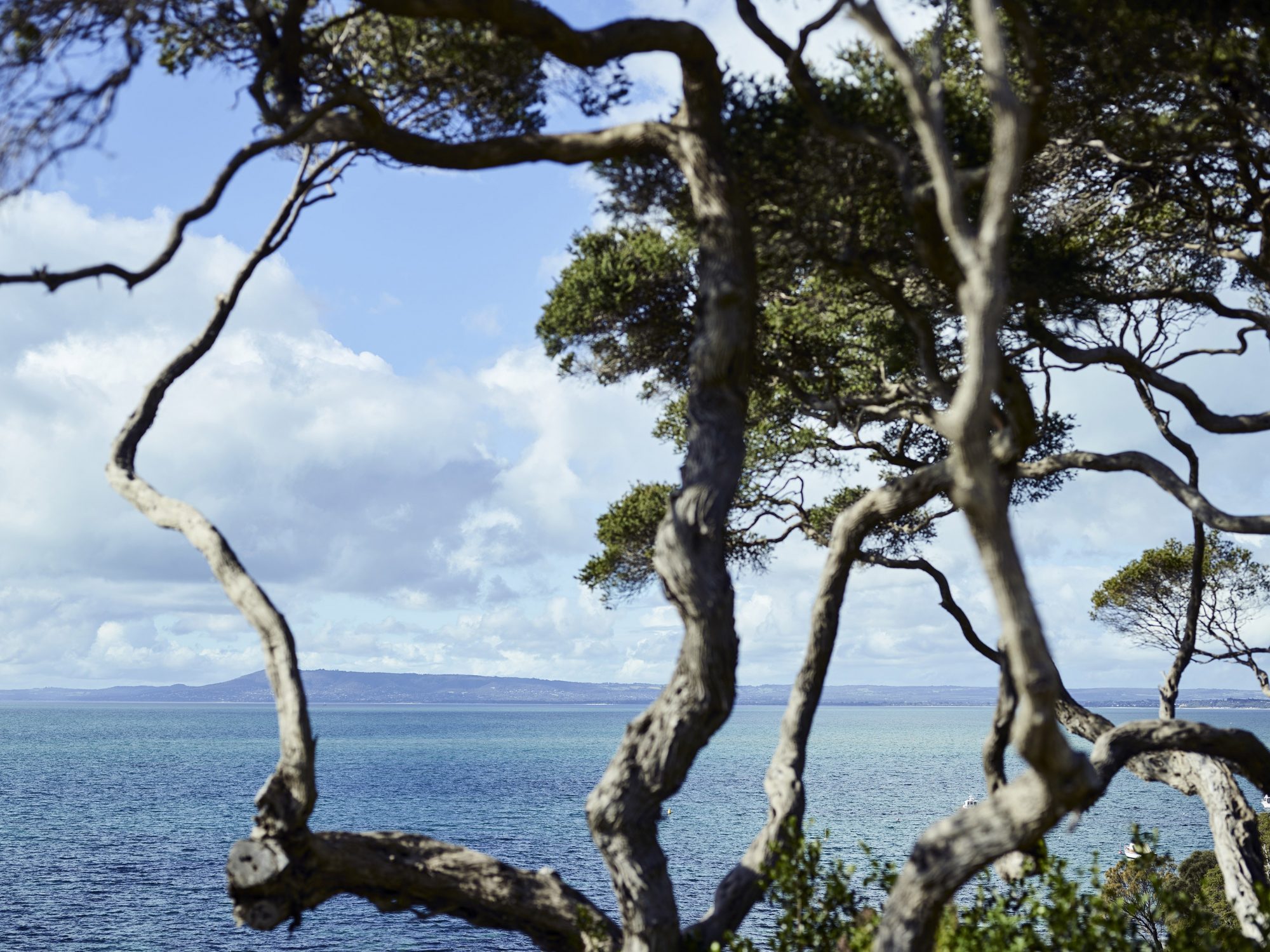 Rob Mills Blue Bay 0076